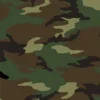woodland-m81