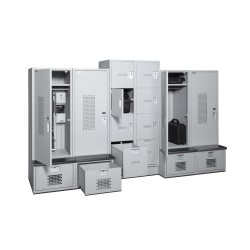 ddp-1 ddp-1